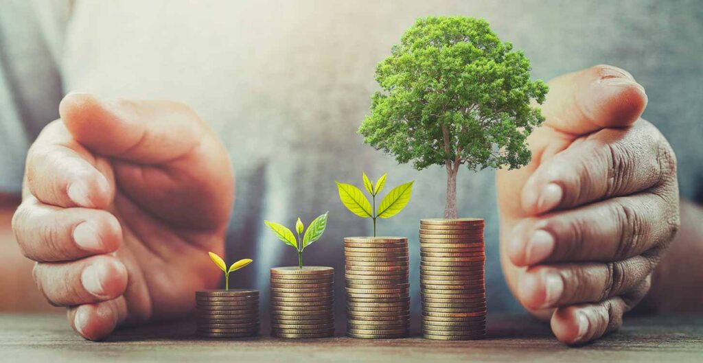 wealth management firm dallas
